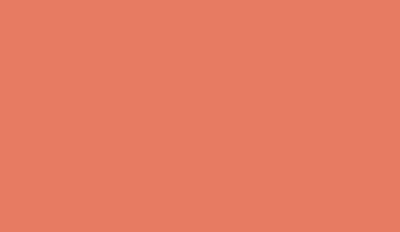Nr. 18 I Orange I Typ: L