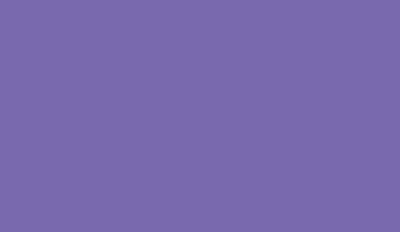 Nr. 11 I Violett I Typ: LW